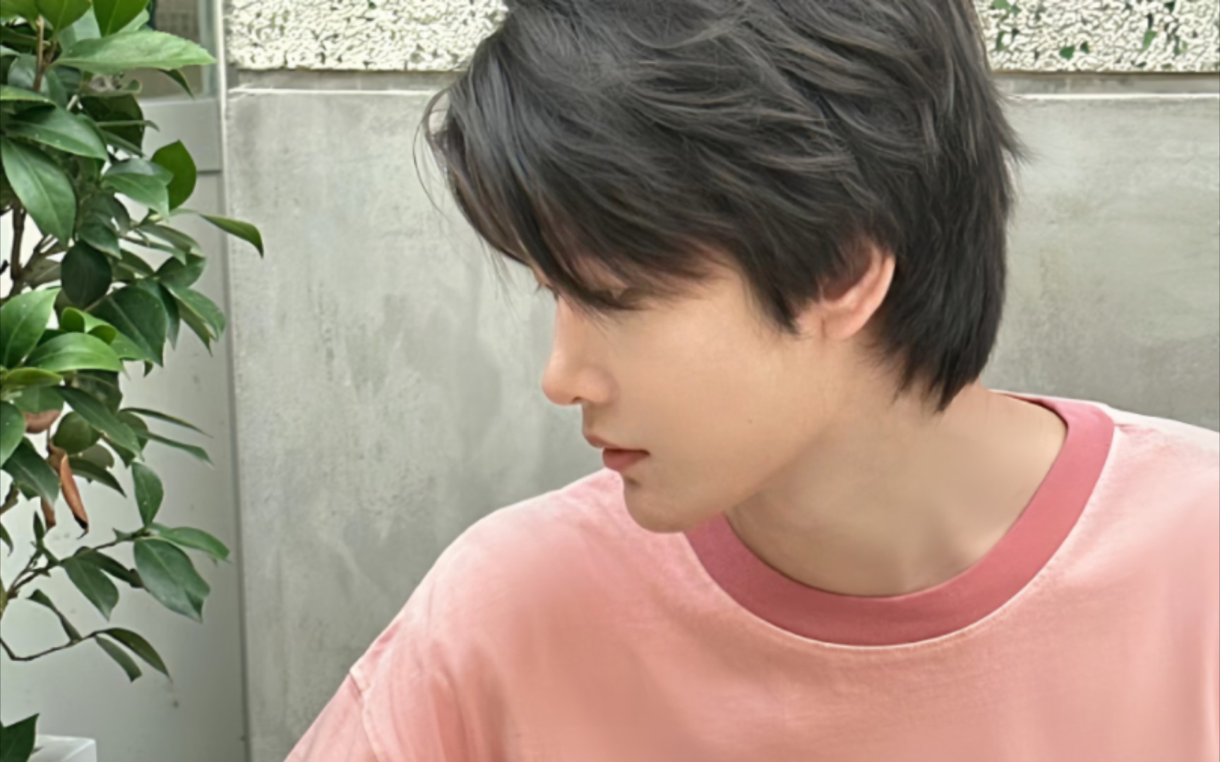 【花少北】可盐可甜的小花