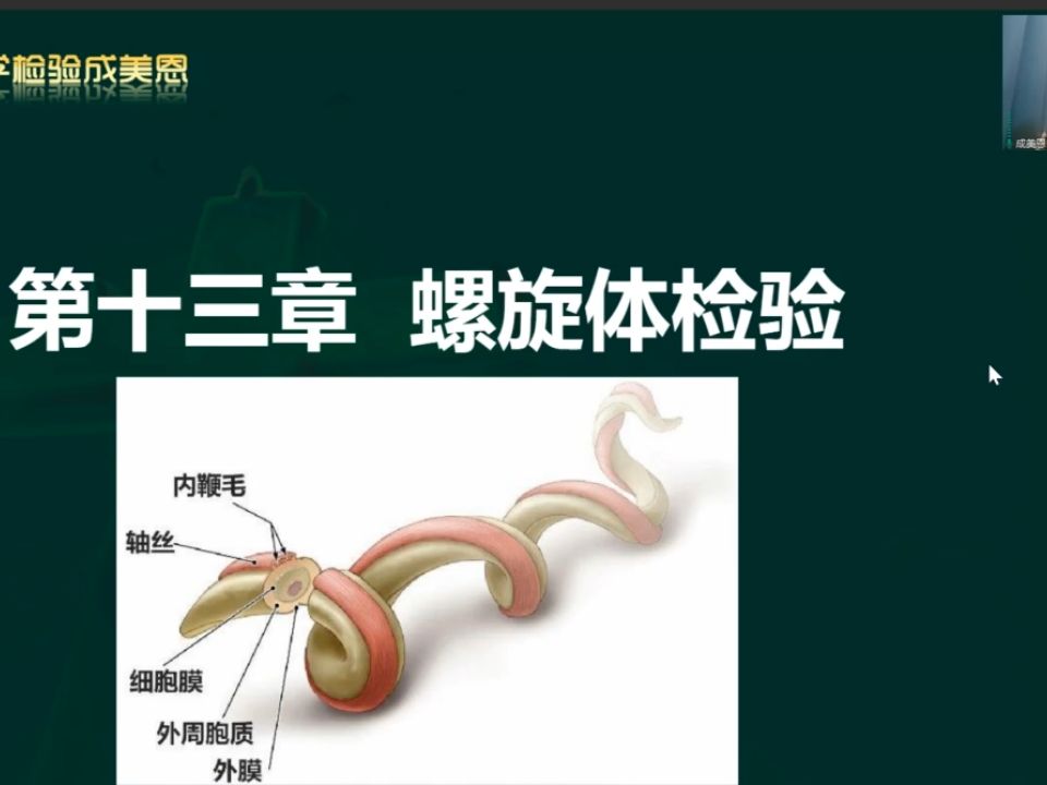 [图]25，精讲-临床微生物学-第（13）章螺旋体检验