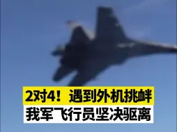 下载视频: 2对4！遇到外机挑衅，我军飞行员坚决驱离