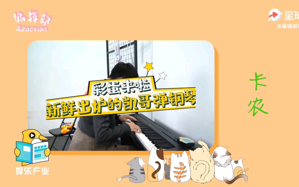 刘凯弹奏卡农哔哩哔哩bilibili