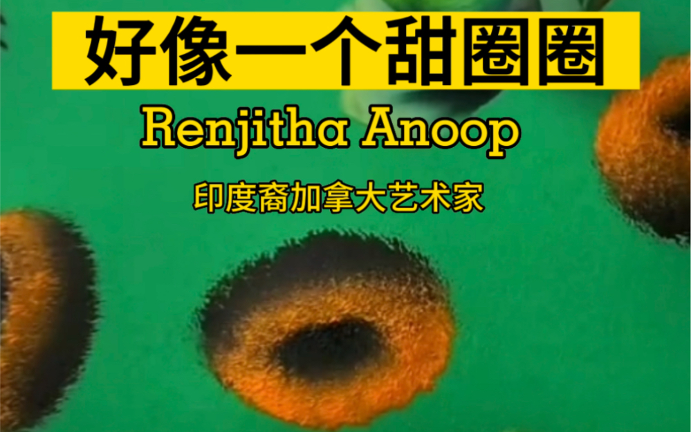 好像一个甜圈圈 Renjitha Anoop 印度裔加拿大艺术家哔哩哔哩bilibili