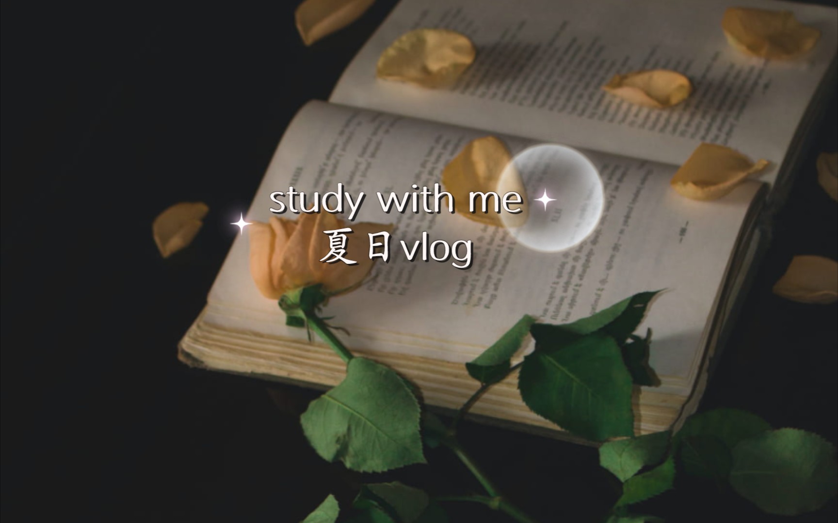 [图]『study with me』夏日vlog【花火が瞬く夜に (烟花闪烁的夜晚)】