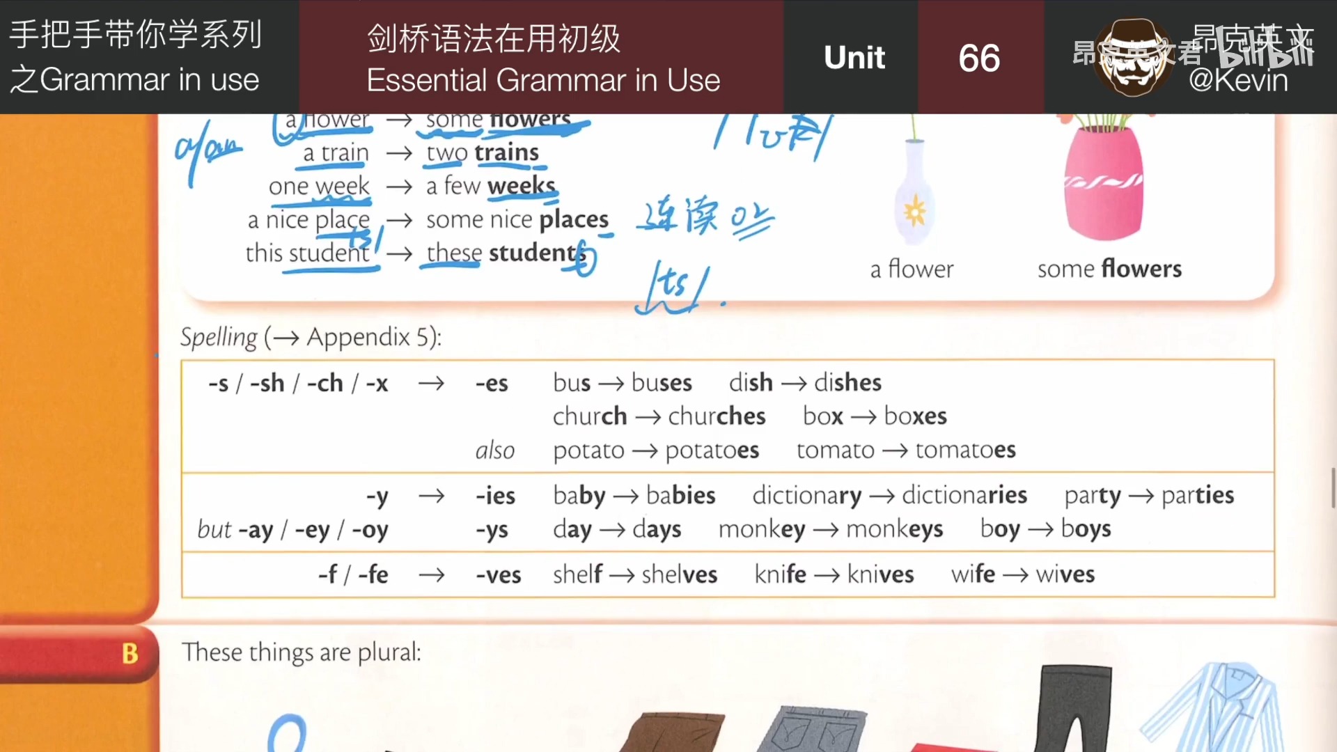 Unit 66 train(s) bus(es) 单复数哔哩哔哩bilibili