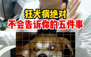 Download Video: 狂犬病绝对不会告诉你的五件事！