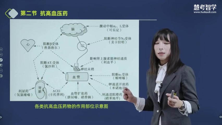 [图]2024年执业药师【药学专业知识（二）】教材精讲班 熊佩老师