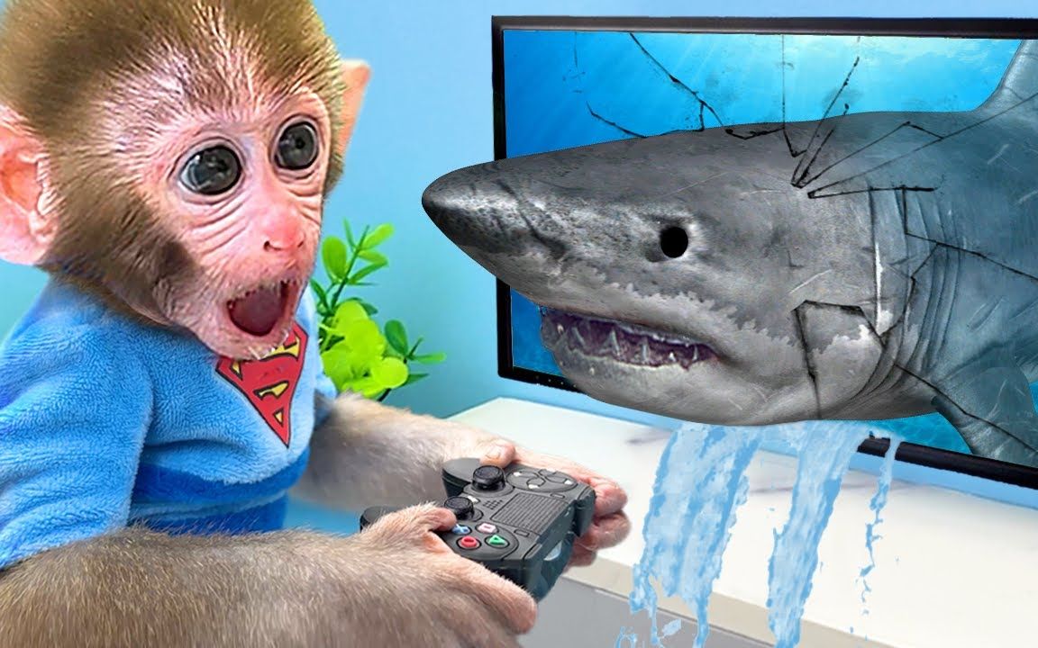 有趣的小猴子:小猴子玩鲨鱼游戏,被大鲨鱼破门而出吓坏了?