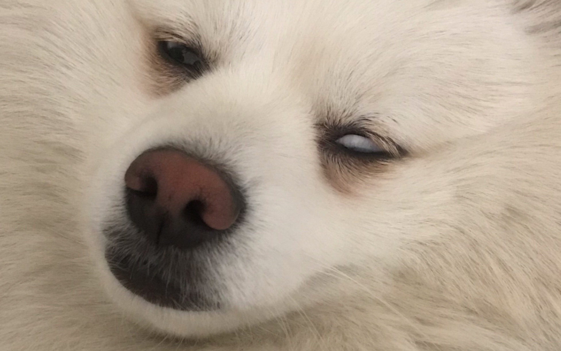 哄着睡觉时爱翻白眼