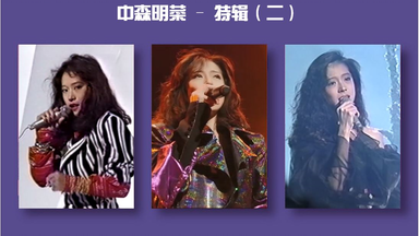 中森明菜 A.K.I.N.A 1983年 ミルキーウェイ 春の風を感じて 中森明菜 1983 ミルキーウェイ 春の風を感じて DVD バラード