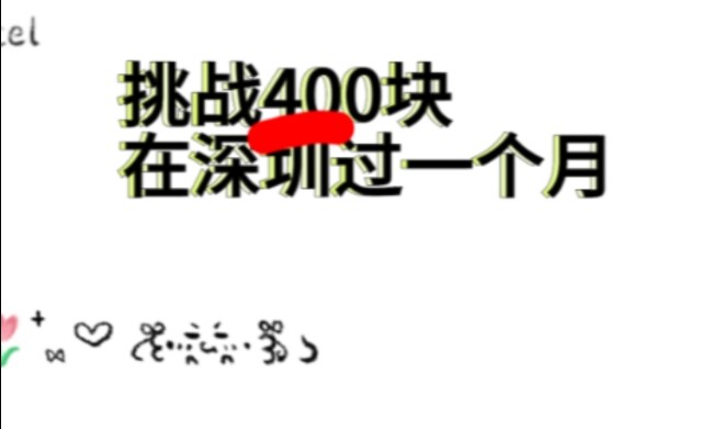 挑战400块在深圳过一个月 自由职业者的快乐vlog2024.12.3哔哩哔哩bilibili