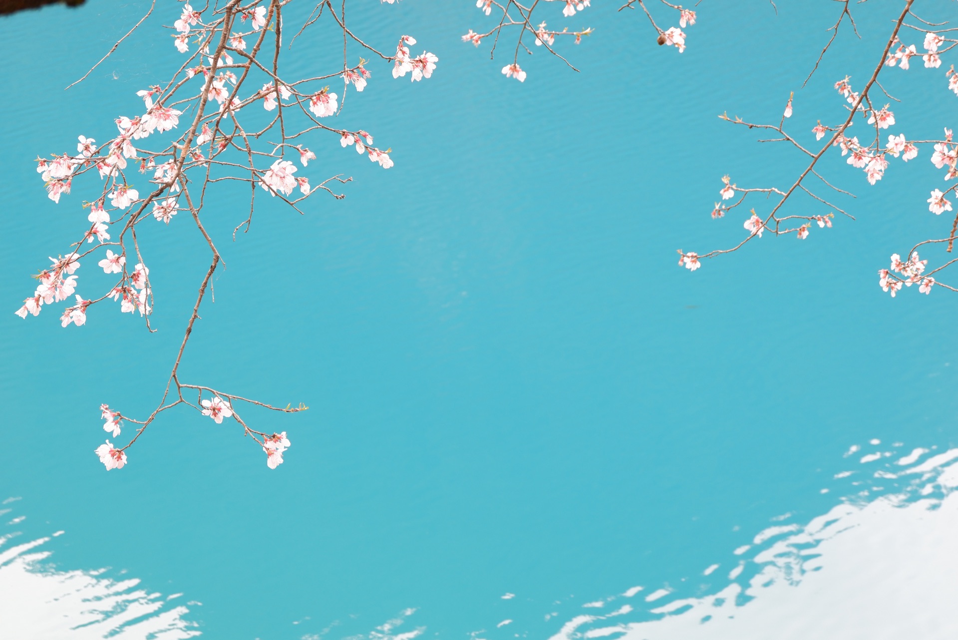 大数据交友或求偶 bfb 随缘一下好了