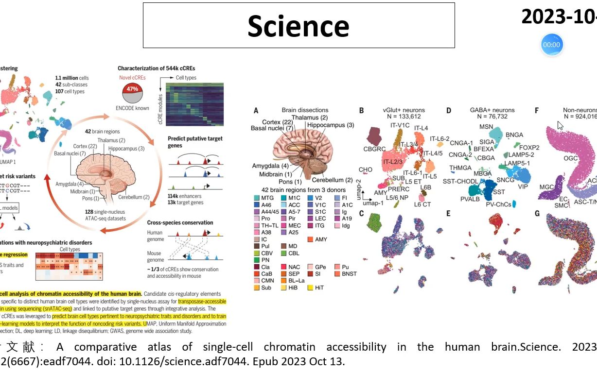 Science—人类大脑染色质可及性分析揭示大脑基因表达差异的根本机制哔哩哔哩bilibili