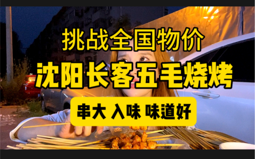 代表沈阳挑战全国烧烤物价!1块钱「熟筋」一块钱「羊肉串」5毛钱的「五花肉」,便宜不是关键,好吃才是!!!又是深深爱上沈阳的一天哔哩哔哩bilibili