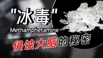 "冰毒"(上)：中国禁毒头号大敌，泯灭精神的恶魔结晶【禁毒科普馆#1】