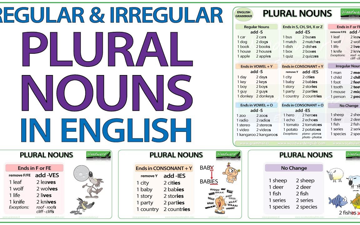 Plural Nouns in English  Regular & Irregular Plurals哔哩哔哩bilibili