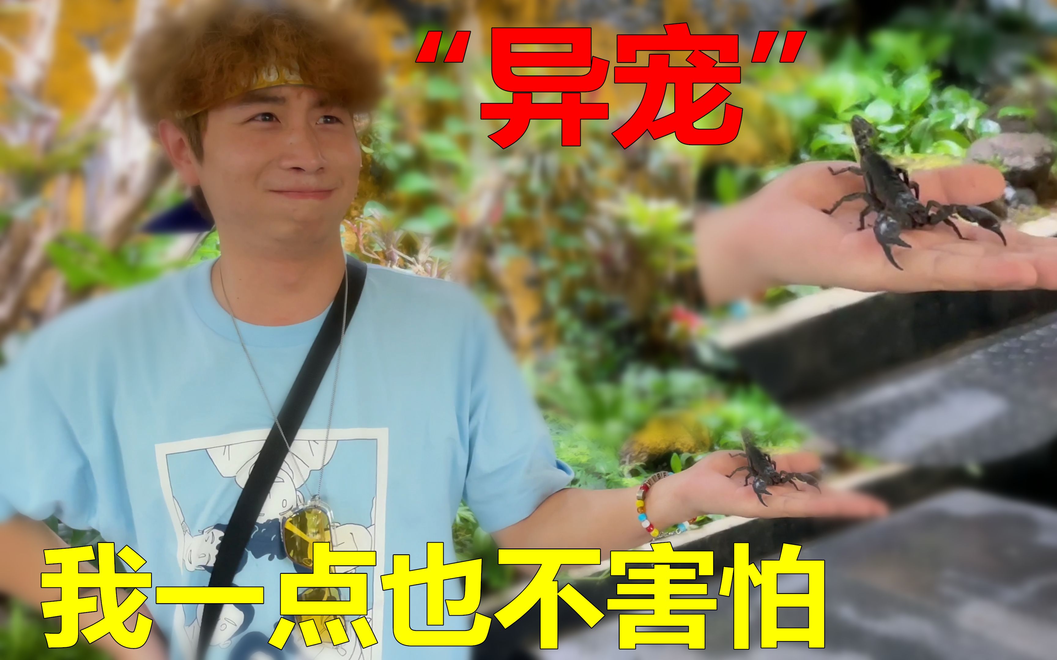 桃白白的VLOG76期丨跟网友面基摸蝎子哔哩哔哩bilibili