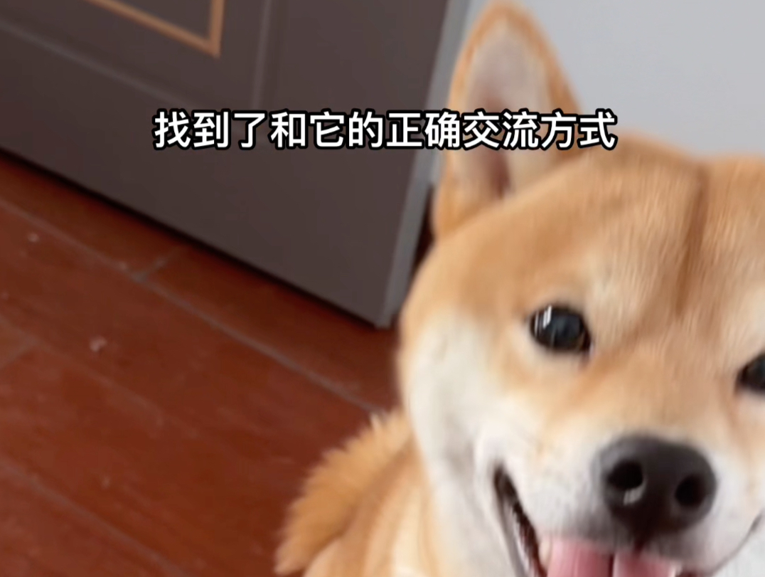 《这回听懂了》