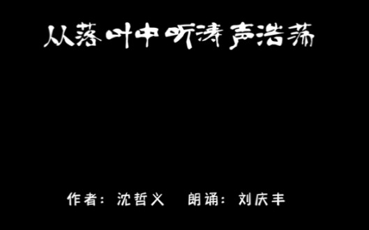 《青春诗刊》为你读诗:从落叶中听涛声浩荡哔哩哔哩bilibili