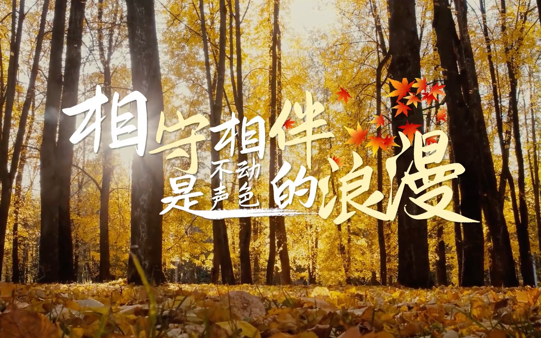 相守相伴,是不动声色的浪漫