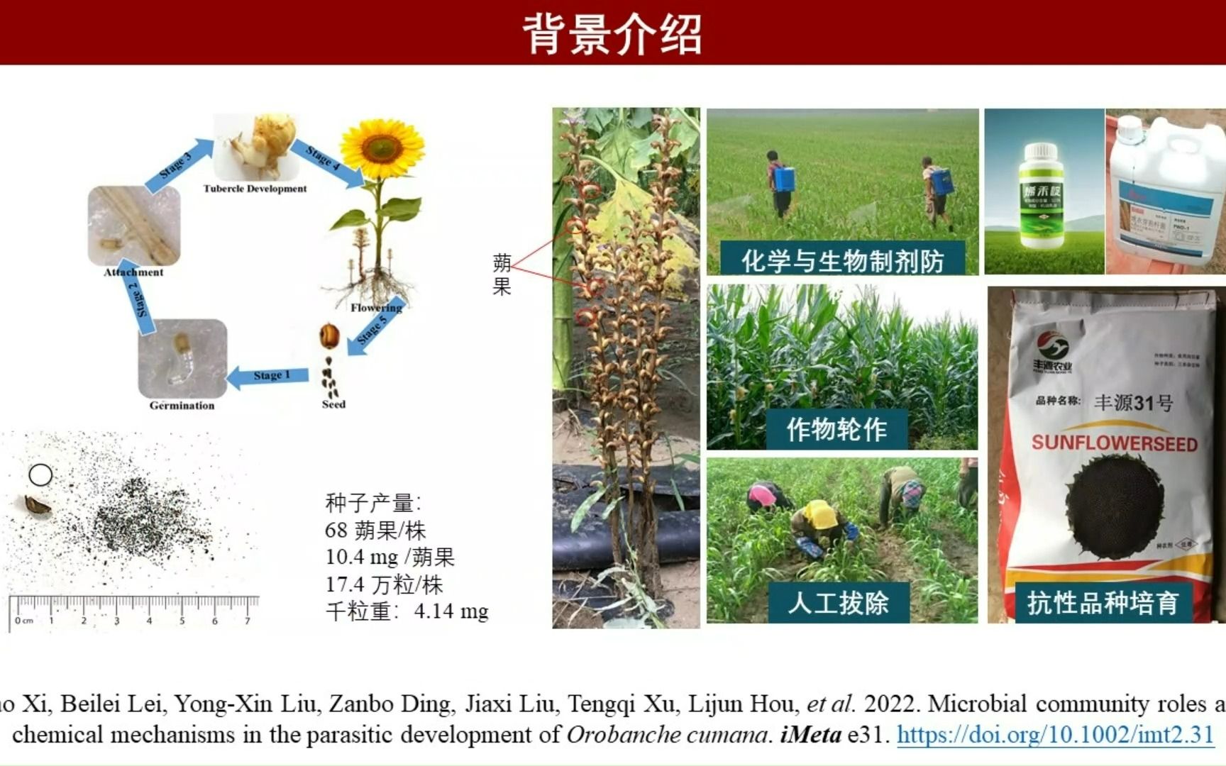 iMeta | 西农林雁冰团队发布微生物群落对于寄生植物—列当的调控作用哔哩哔哩bilibili