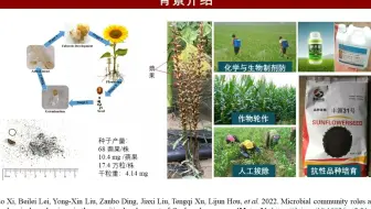 iMeta | 西农林雁冰团队发布微生物群落对于寄生植物—列当的调控作用