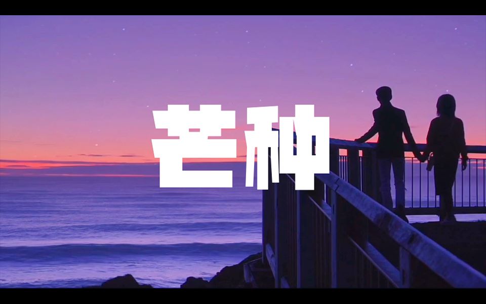 《芒种》- 音乐模板示例视频