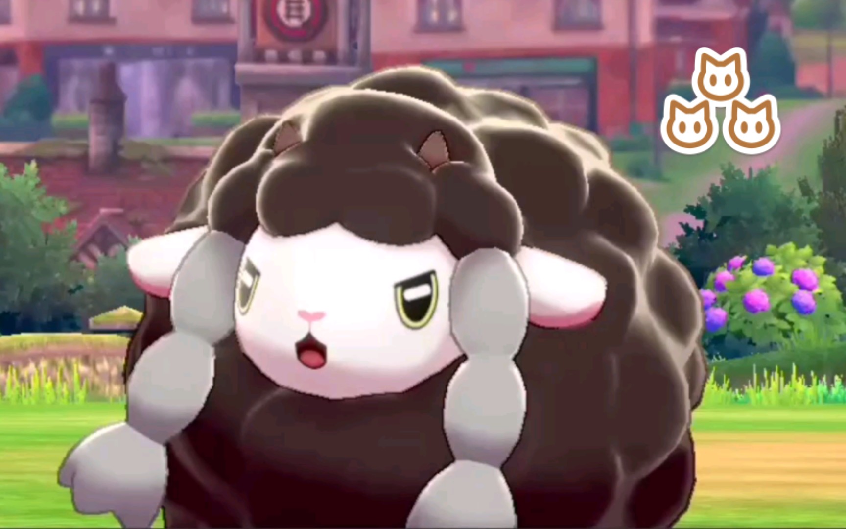 剑盾路闪偶遇之证不怕人的毛辫羊