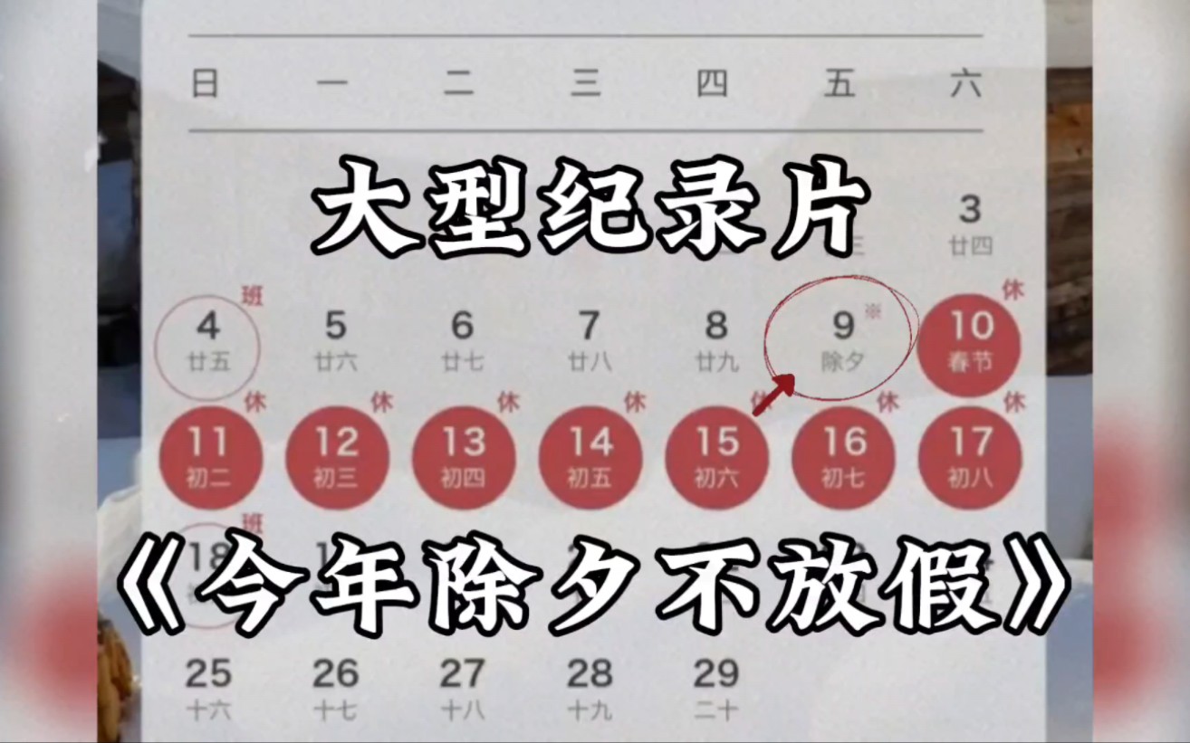 大型纪录片《今年除夕不放假》,2024年春节连休8天,调休2天.除夕不放假 ,鼓励企业安排职工休息哔哩哔哩bilibili