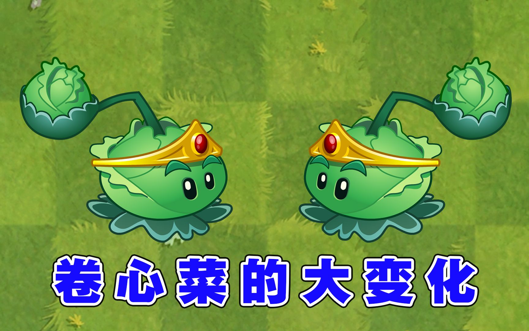 戴着王冠的卷心菜投手,1至5阶有什么变化?