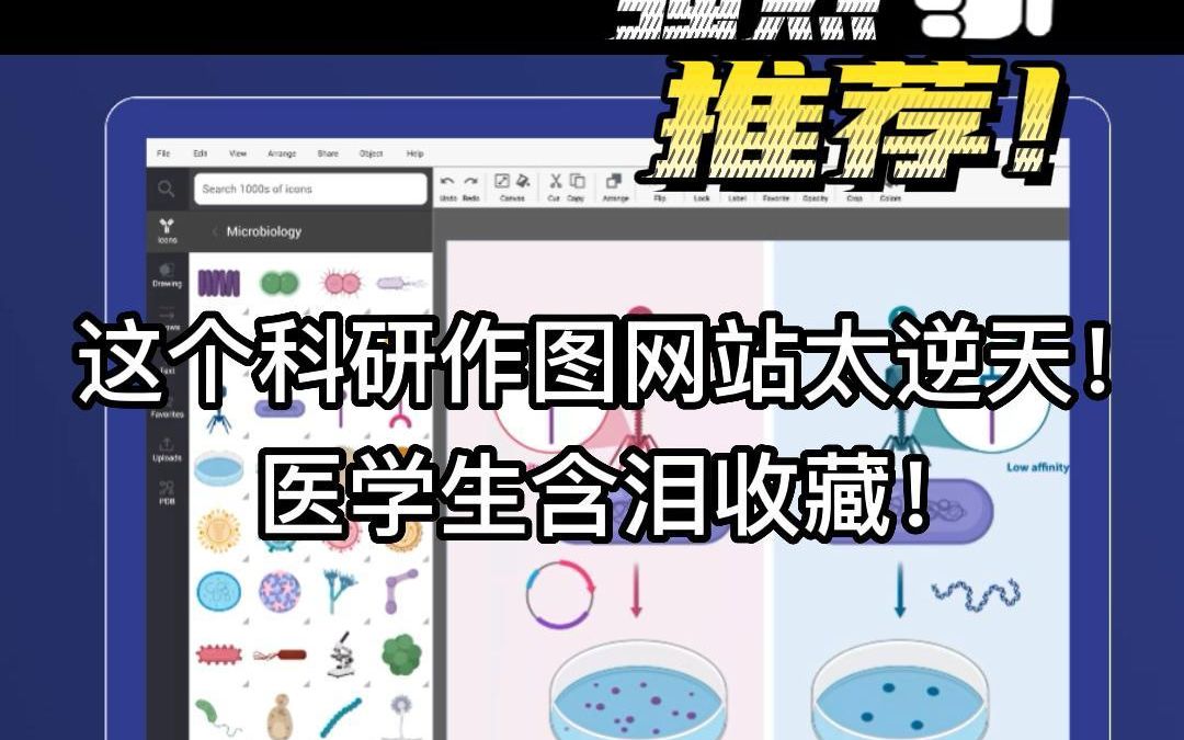 这个科研作图网站太逆天,医学生含泪收藏❗哔哩哔哩bilibili