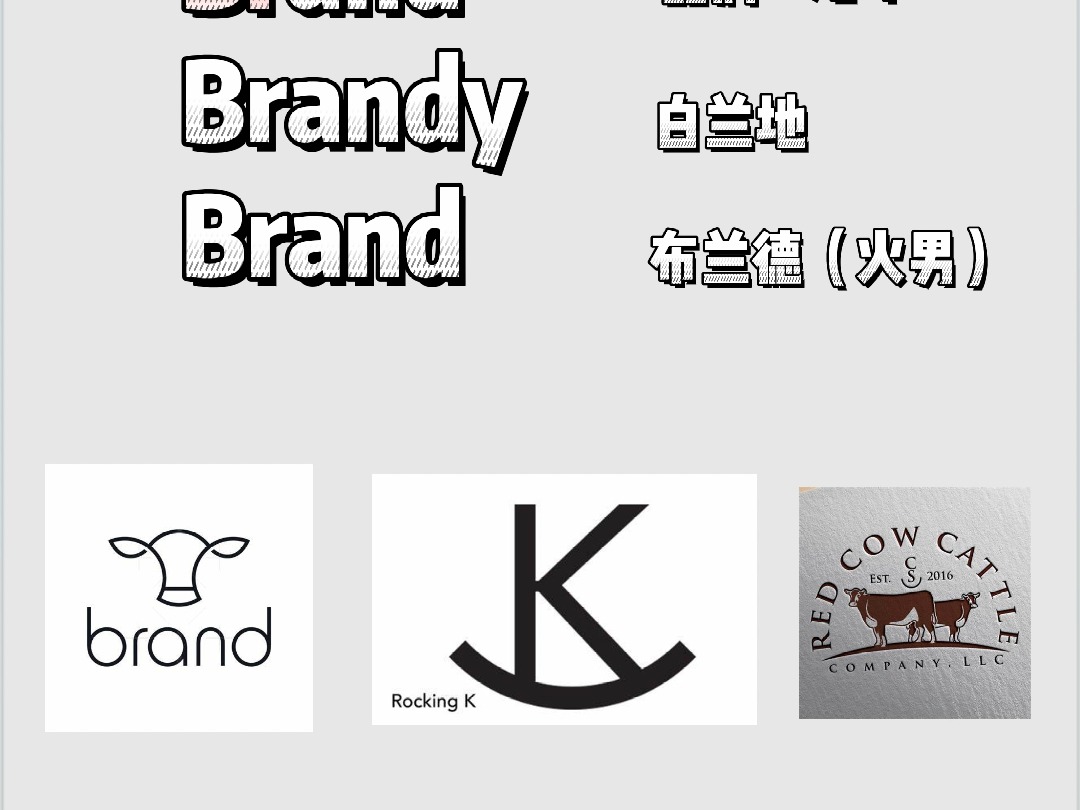 brand品牌brandy白兰地啥关系?哔哩哔哩bilibili