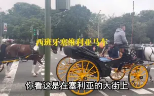 Download Video: 西班牙塞维利亚大街上经常看到的马车，很好奇为什么这些马匹的眼睛都是遮住的呢？有谁知道吗#西班牙