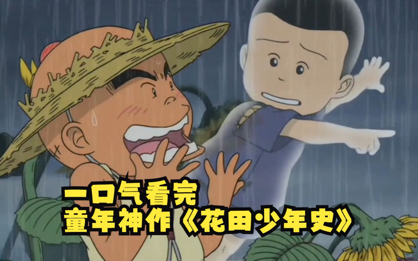 一口气看完当年星空卫视播放的童年神作《花田少年史》