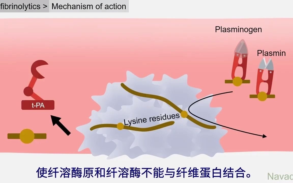 抗纤维蛋白溶解药(中文配音版)哔哩哔哩bilibili