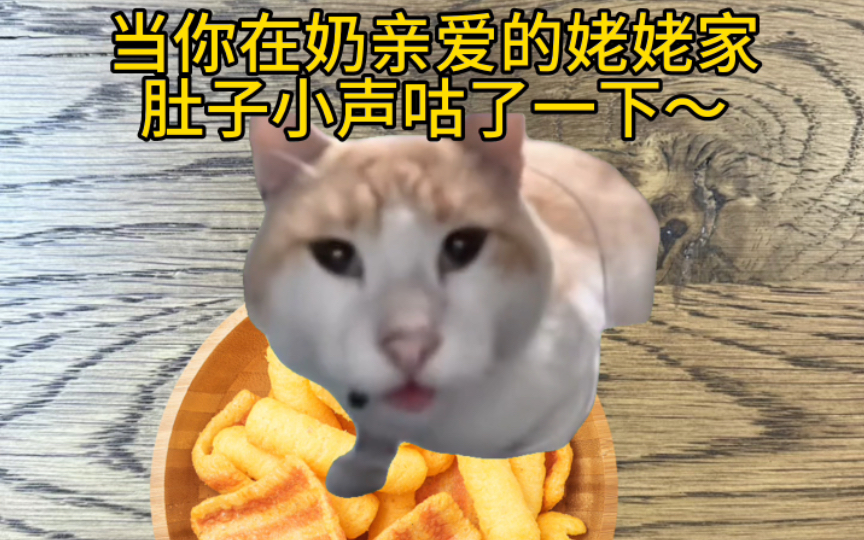 圆鸡巧合的猫咪去姥姥家-猫喵meme日常-猫喵meme日常-哔哩哔哩视频