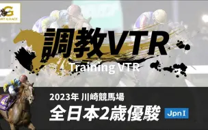 Télécharger la video: 2023全日本2岁优骏（Jpn1）调教VTR