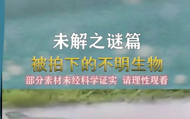 [图]在一系列未解之谜中，查看拍摄的神秘生物视频。是《山海经》#未解之谜#奇闻轶事#神秘生物#山海经#神奇动物#未知生物#中的第五个传奇生物??★