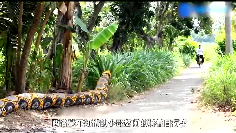 用假蟒蛇整路人,人在前面跑,魂在后面追