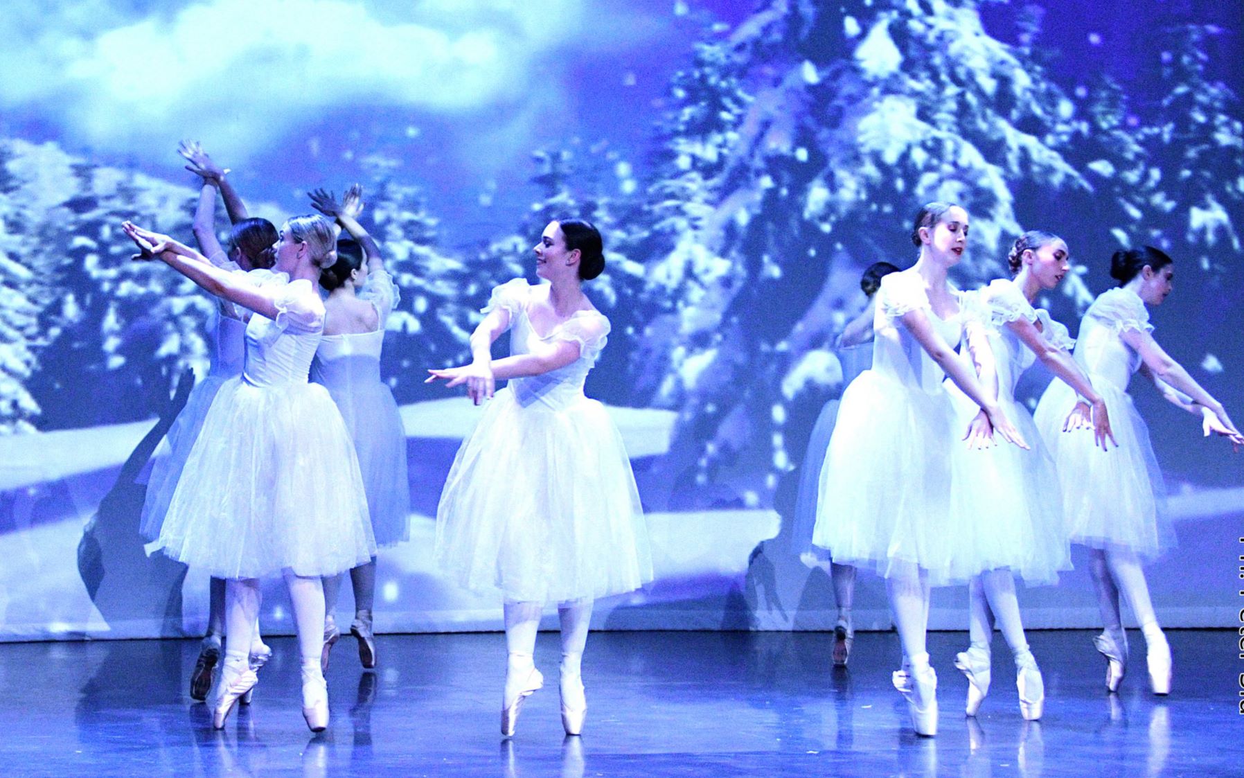 [图]TG Ballet Christmas Greetings