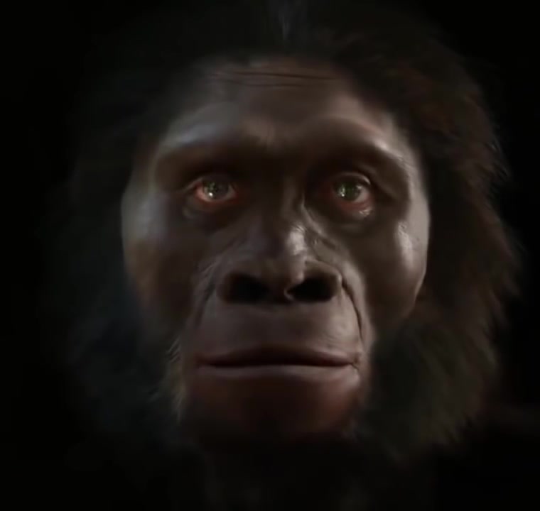 [图]人脸6百万年的进化搞笑视频 The evolution of man's face over the course of 6 million years