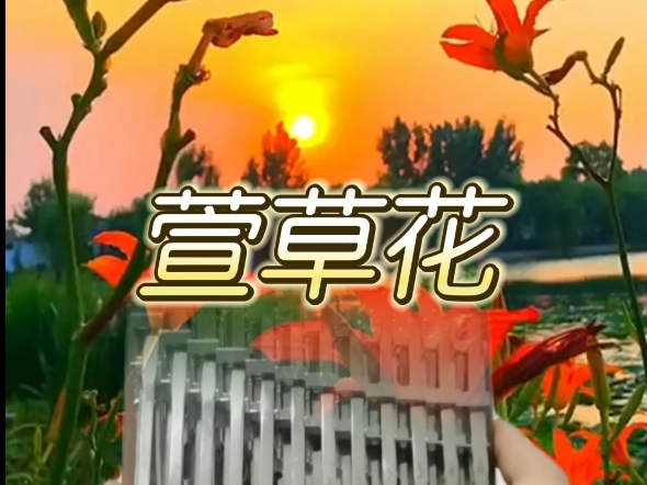 萱草花【卡林巴拇指琴】