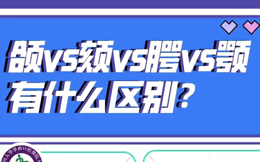 颌vs颌vs 腭vs颌有什么区别呢?哔哩哔哩bilibili