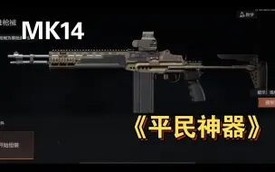 Descargar video: MK14改装打法教学