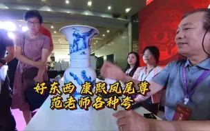 Download Video: 好东西！康熙凤尾尊，范老师各种喜欢