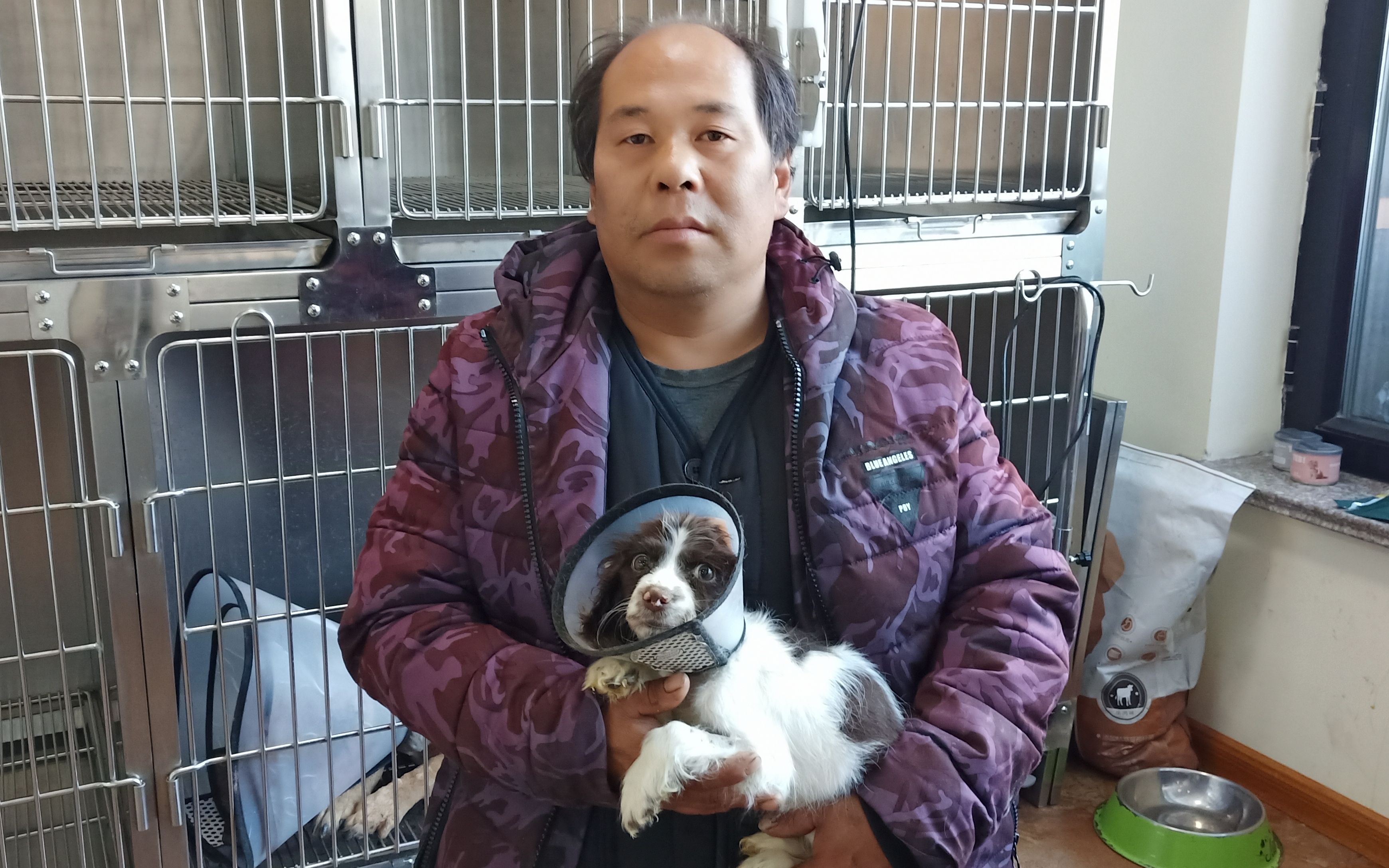 狗狗大笨住院第11天老舅煮了鸡蛋去探望病情不太乐观