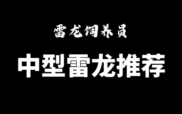 推荐新手饲养的中型雷龙,皮实好养系列哔哩哔哩bilibili