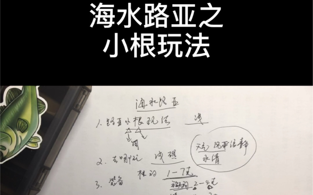 海边钓鱼海水路亚,小根路亚新手入门教学教程哔哩哔哩bilibili