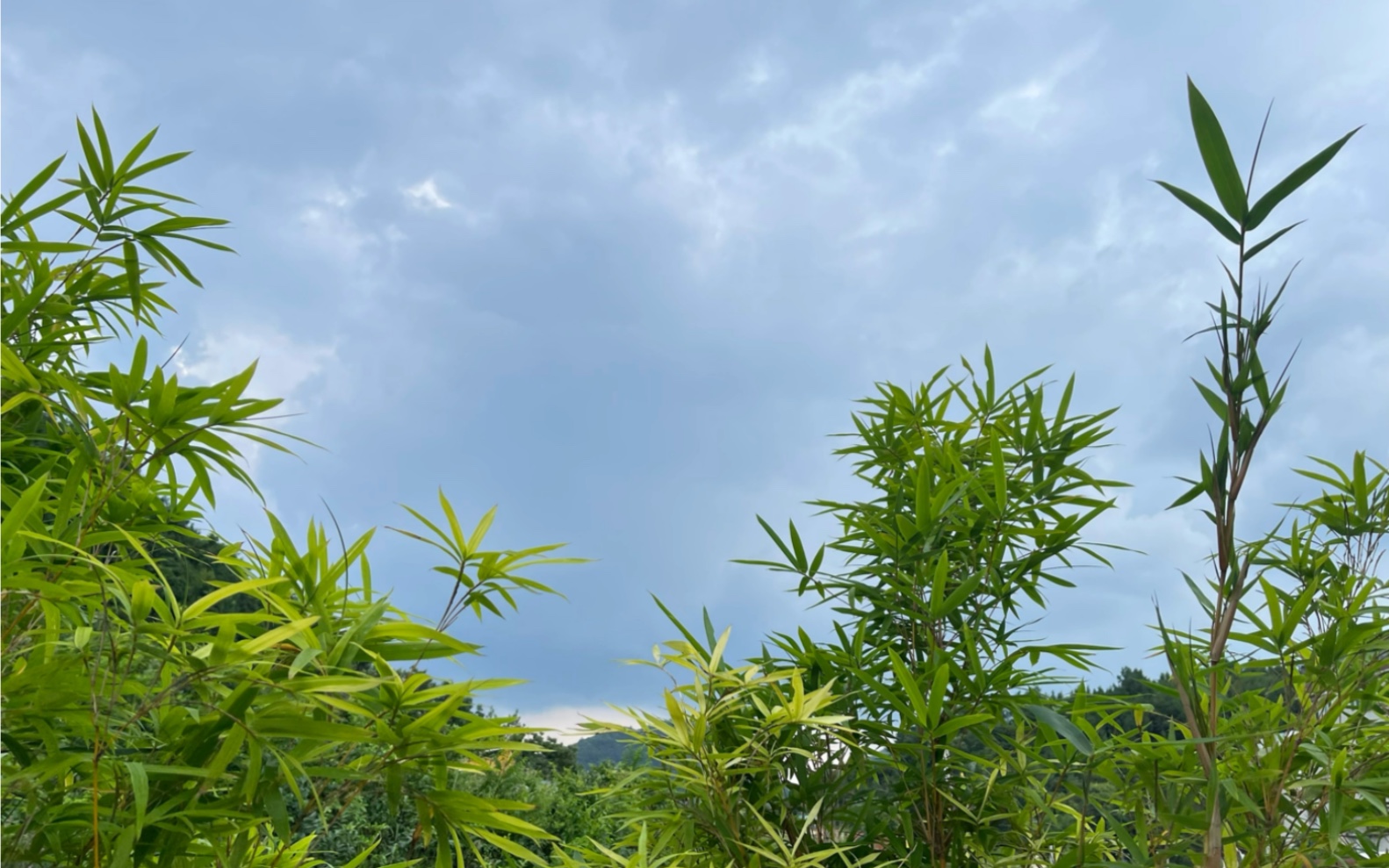 放下浮躁,好好体验生活