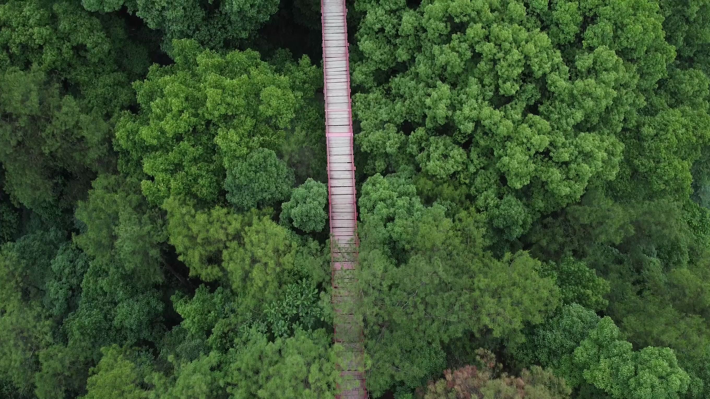 重庆歌乐山急救中心图片