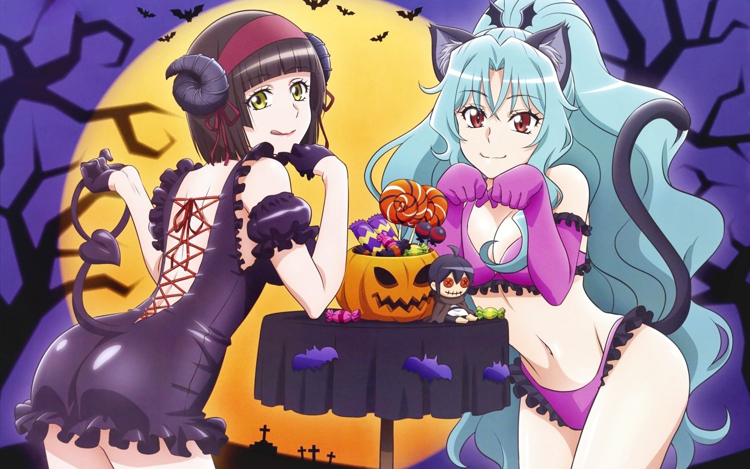 一口气看完人气爽漫《月光下的异世界之旅》第一季