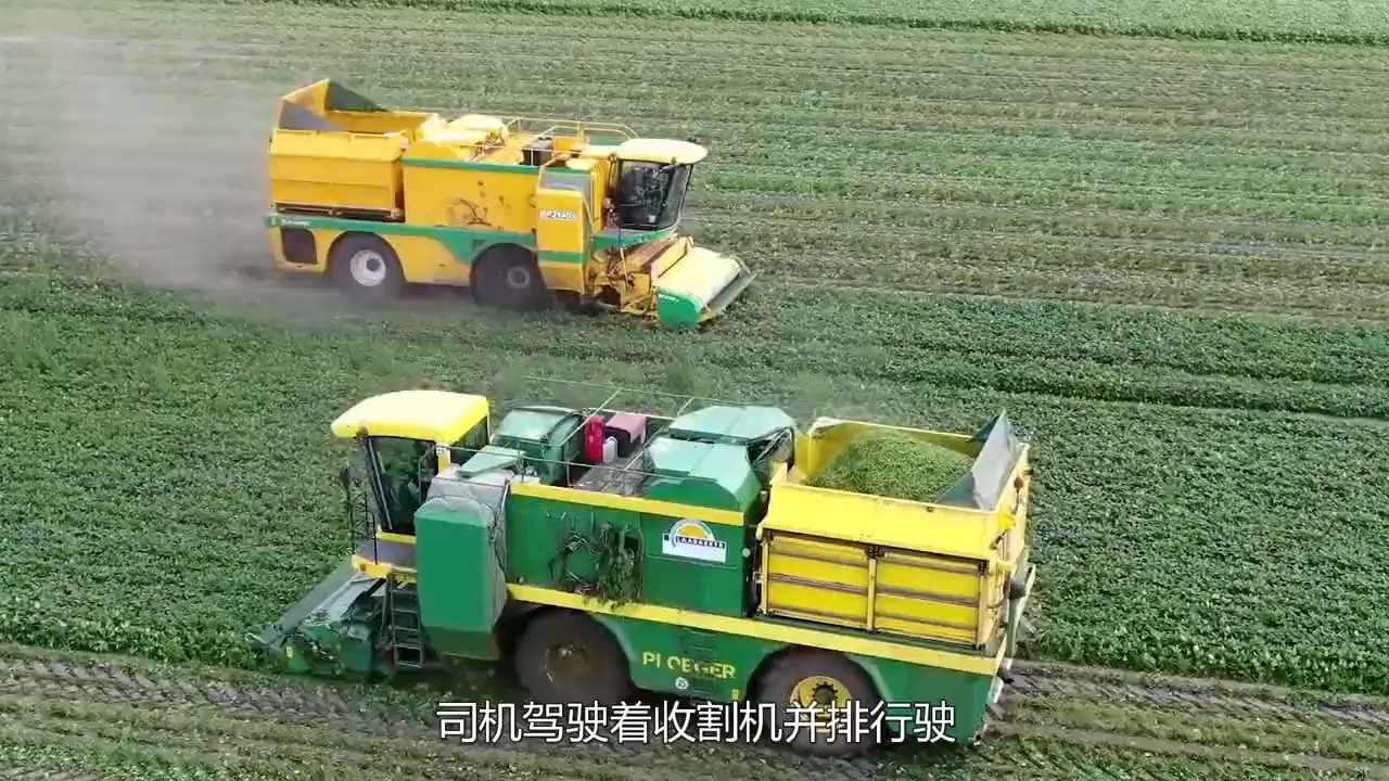 70 不可思议的青豆收割机,半天收割上百亩,工作效率远超人工 #发明